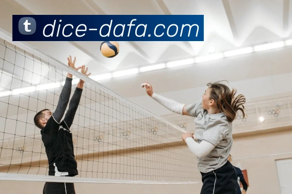 大发娱乐平台生态图